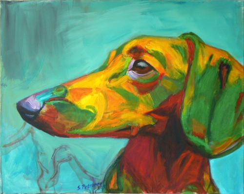 Dachshund