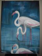 flamingos
