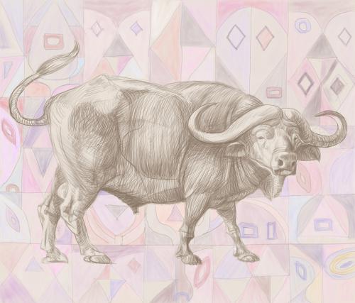 cape buffalo