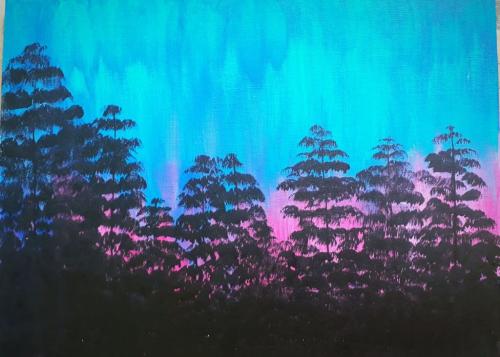 northern lights