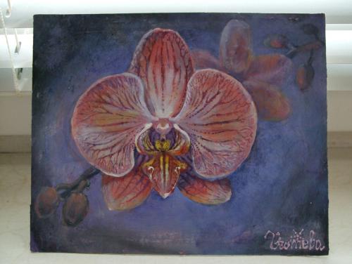 Orchid